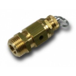 Safety Valve